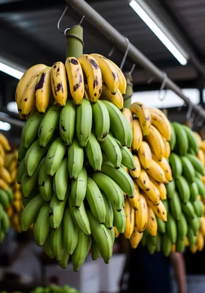 Imagen PNG para descargar